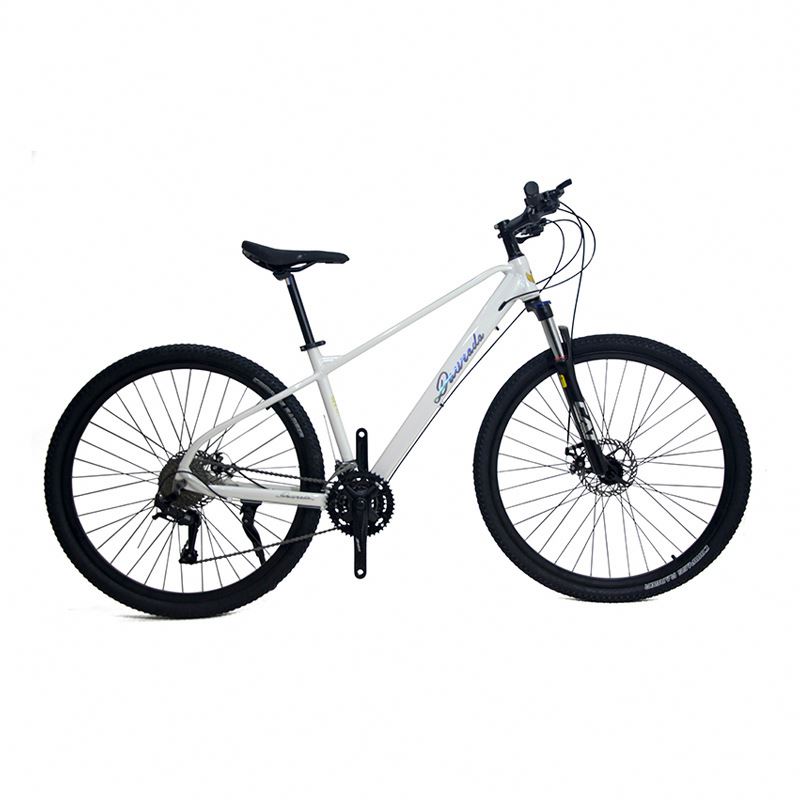 29-Zoll-Mountainbike aus Alumi – Mountain Biking Usa Bewertung und Preis