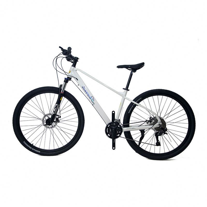 29-Zoll-Mountainbike aus Alumi – Mountain Biking Usa Bewertung und Preis